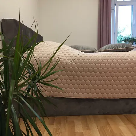 Apartment Elegance